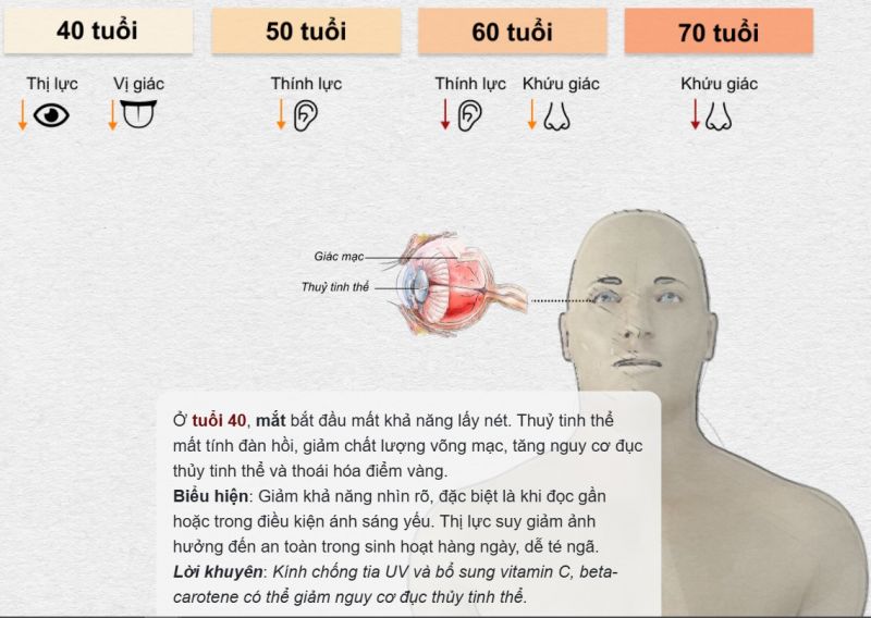 Lý do tôi luôn đeo kính lọc ánh sáng xanh và ngăn tia UV400" mỗi ngày