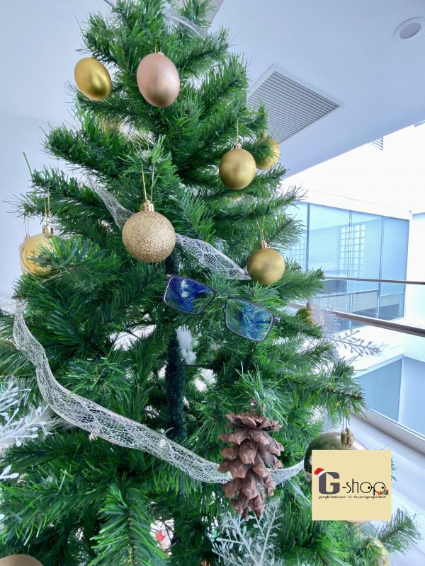 Cây thông noel - Tại sao được gọi là cây nhân đức?
